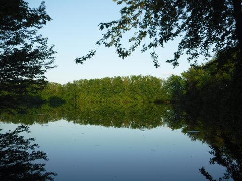 Photo from Intro To Kayak Paddling Skills and Campfire