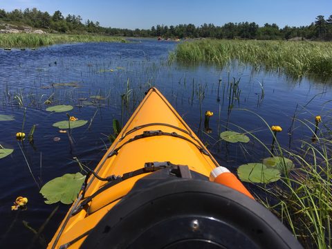 Photo from Tyro (Novice) Kayaking Painted Rocks and Bayfield Inlet