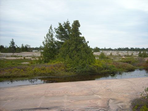 Photo from Tyro (Novice) Kayaking Painted Rocks and Bayfield Inlet