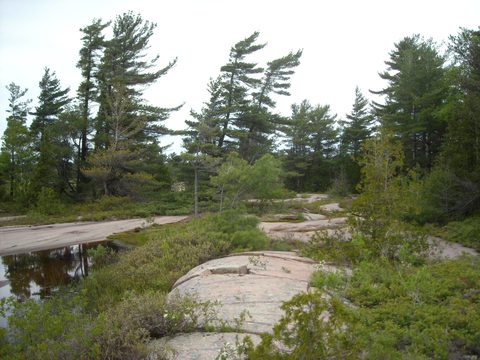 Photo from Tyro (Novice) Kayaking Painted Rocks and Bayfield Inlet