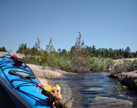 Photo from Tyro (Novice) Kayaking Painted Rocks and Bayfield Inlet