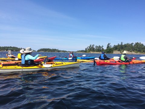 Photo from Tyro (Novice) Kayaking Painted Rocks and Bayfield Inlet