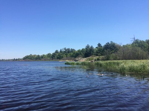 Photo from Tyro (Novice) Kayaking Painted Rocks and Bayfield Inlet