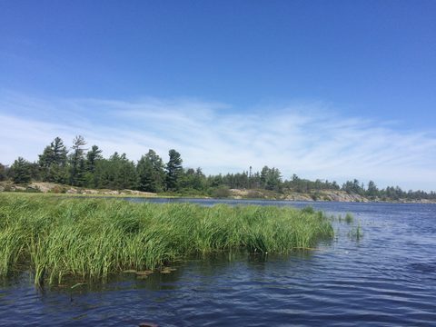 Photo from Tyro (Novice) Kayaking Painted Rocks and Bayfield Inlet