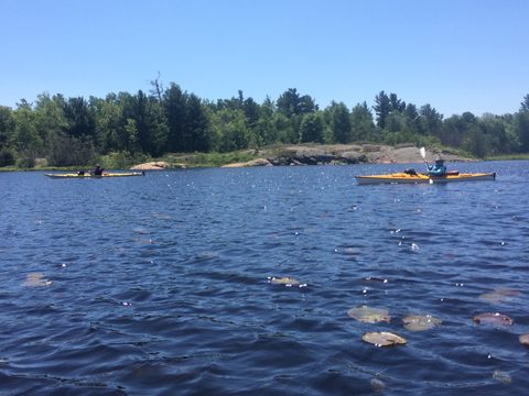 Photo from Tyro (Novice) Kayaking Painted Rocks and Bayfield Inlet