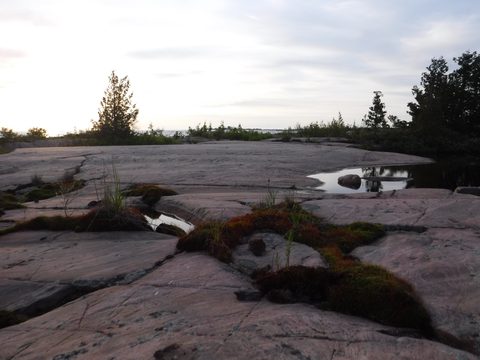 Photo from Tyro (Novice) Kayaking Painted Rocks and Bayfield Inlet