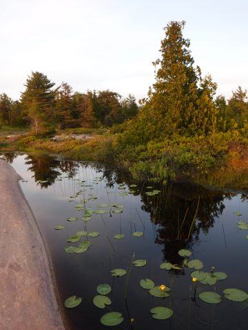 Photo from Tyro (Novice) Kayaking Painted Rocks and Bayfield Inlet