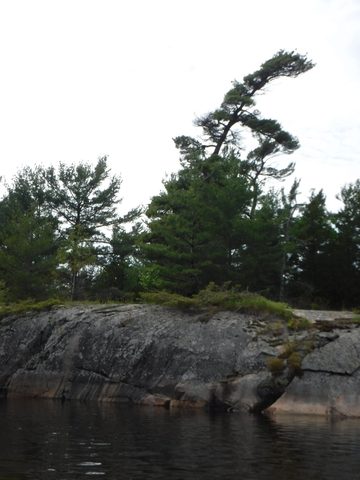 Photo from Tyro (Novice) Kayaking Painted Rocks and Bayfield Inlet