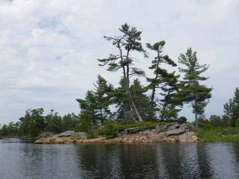 Photo from Tyro (Novice) Kayaking Painted Rocks and Bayfield Inlet