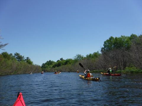 Photo from Tyro (Novice) Kayaking Painted Rocks and Bayfield Inlet
