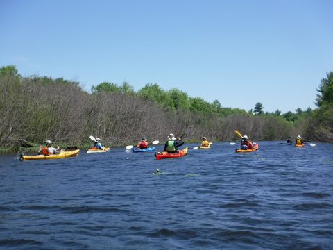 Photo from Tyro (Novice) Kayaking Painted Rocks and Bayfield Inlet