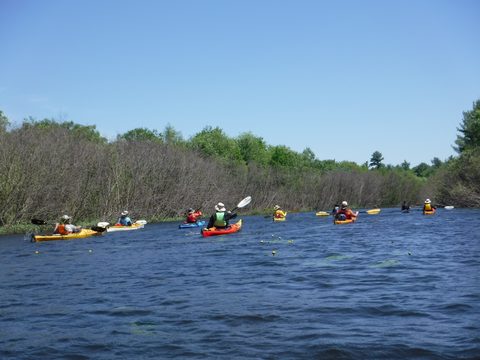 Photo from Tyro (Novice) Kayaking Painted Rocks and Bayfield Inlet