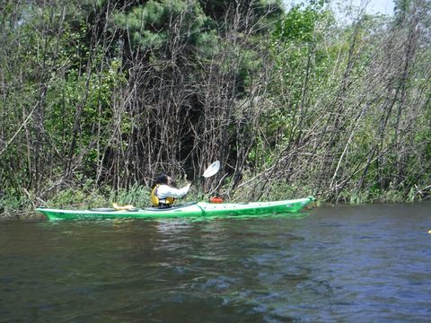 Photo from Tyro (Novice) Kayaking Painted Rocks and Bayfield Inlet