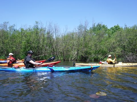 Photo from Tyro (Novice) Kayaking Painted Rocks and Bayfield Inlet