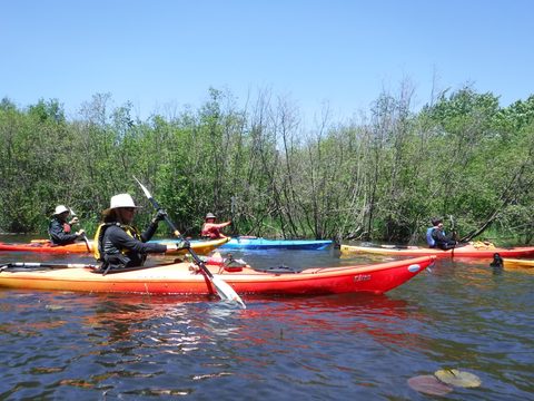 Photo from Tyro (Novice) Kayaking Painted Rocks and Bayfield Inlet