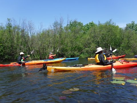 Photo from Tyro (Novice) Kayaking Painted Rocks and Bayfield Inlet