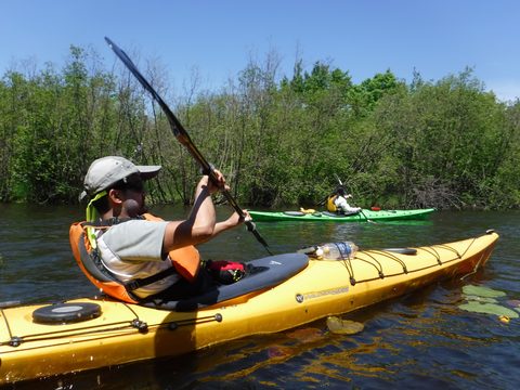 Photo from Tyro (Novice) Kayaking Painted Rocks and Bayfield Inlet