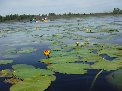 Photo from Tyro (Novice) Kayaking Painted Rocks and Bayfield Inlet