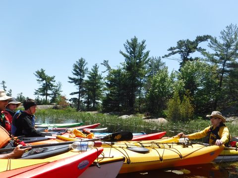 Photo from Tyro (Novice) Kayaking Painted Rocks and Bayfield Inlet