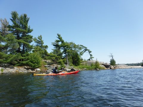 Photo from Tyro (Novice) Kayaking Painted Rocks and Bayfield Inlet
