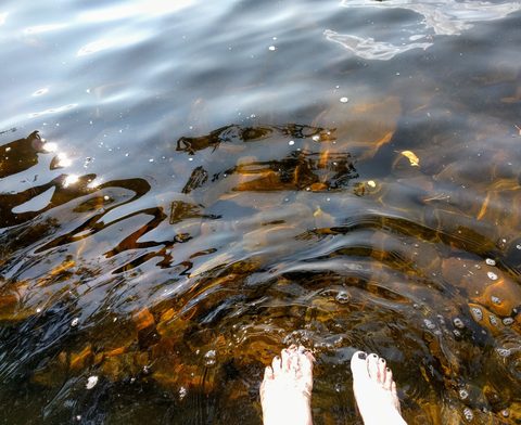 Photo from Trekking with Chev ~ @ Bon Echo: A Backpacking Adventure