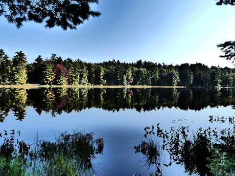 Photo from Trekking with Chev ~ @ Bon Echo: A Backpacking Adventure