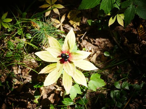 Photo from Trekking with Chev ~ @ Bon Echo: A Backpacking Adventure