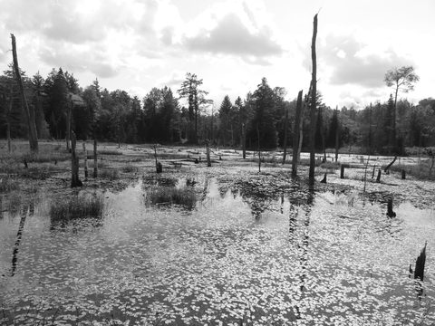 Photo from Trekking with Chev ~ @ Bon Echo: A Backpacking Adventure