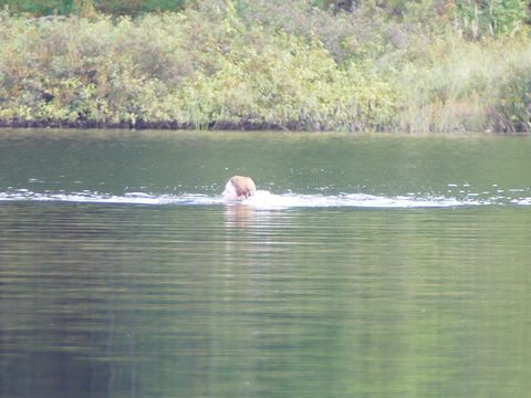 Photo from Trekking with Chev ~ @ Bon Echo: A Backpacking Adventure