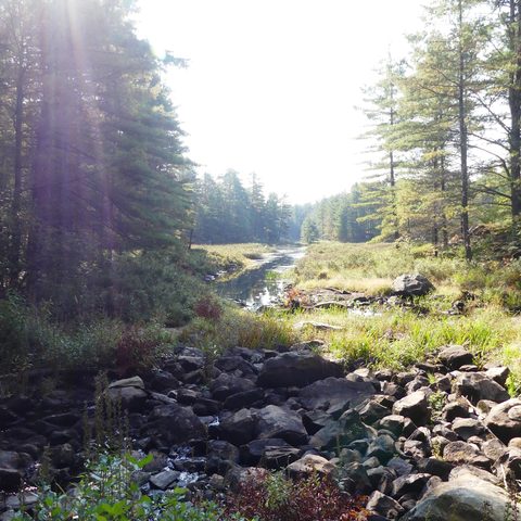 Photo from Trekking with Chev ~ @ Bon Echo: A Backpacking Adventure
