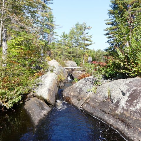 Photo from Trekking with Chev ~ @ Bon Echo: A Backpacking Adventure