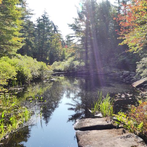 Photo from Trekking with Chev ~ @ Bon Echo: A Backpacking Adventure