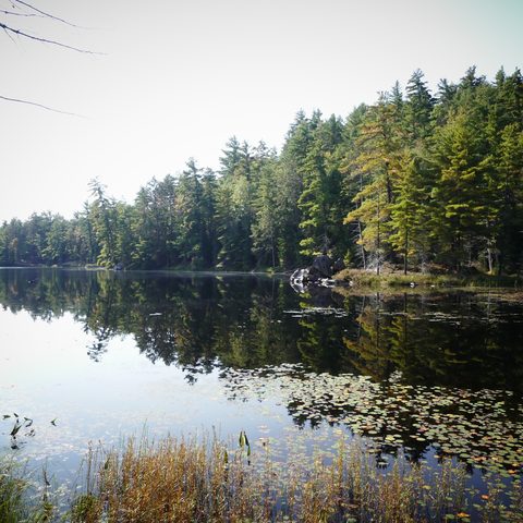 Photo from Trekking with Chev ~ @ Bon Echo: A Backpacking Adventure