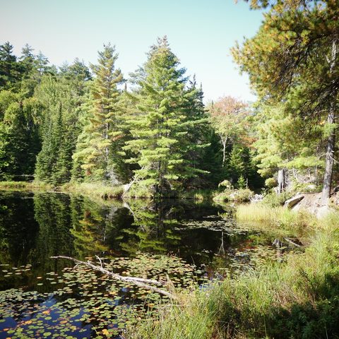 Photo from Trekking with Chev ~ @ Bon Echo: A Backpacking Adventure