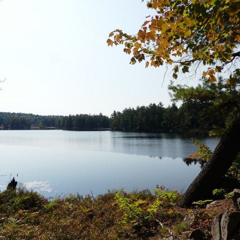 Photo from Trekking with Chev ~ @ Bon Echo: A Backpacking Adventure