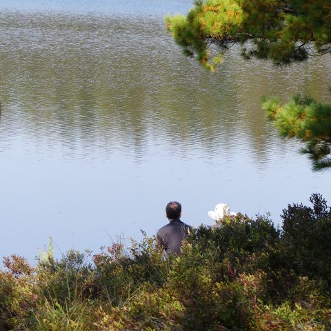 Photo from Trekking with Chev ~ @ Bon Echo: A Backpacking Adventure