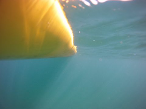 Photo from Franklin, Mink, and McCoy Islands