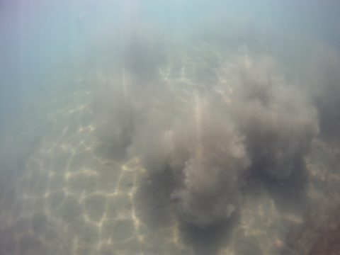 Photo from Franklin, Mink, and McCoy Islands