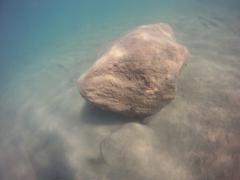 Photo from Franklin, Mink, and McCoy Islands