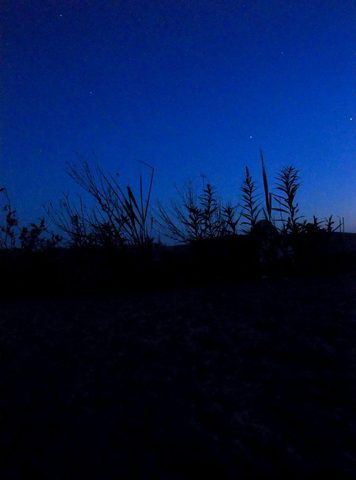 Photo from Franklin, Mink, and McCoy Islands