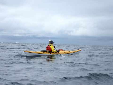 Photo from Kayaking Franklin Island For R&R