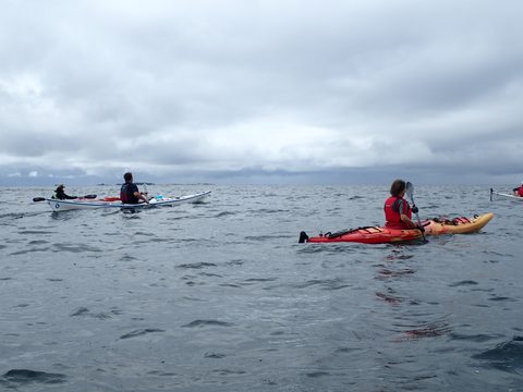 Photo from Kayaking Franklin Island For R&R