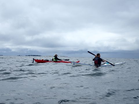 Photo from Kayaking Franklin Island For R&R
