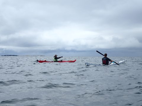 Photo from Kayaking Franklin Island For R&R