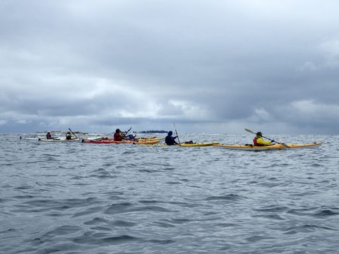 Photo from Kayaking Franklin Island For R&R
