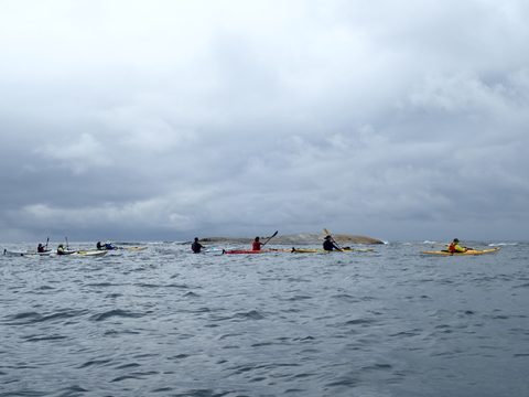 Photo from Kayaking Franklin Island For R&R
