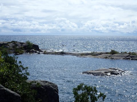 Photo from Kayaking Franklin Island For R&R