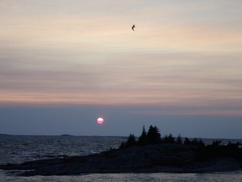 Photo from Kayaking Franklin Island For R&R