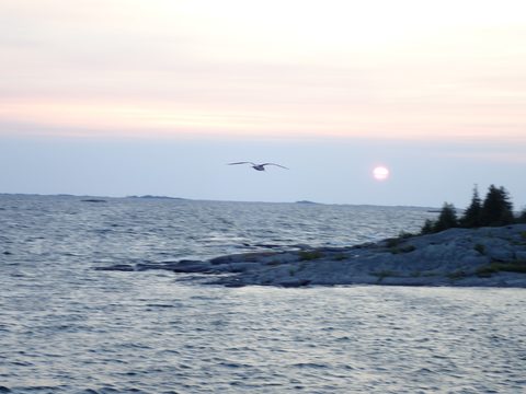 Photo from Kayaking Franklin Island For R&R