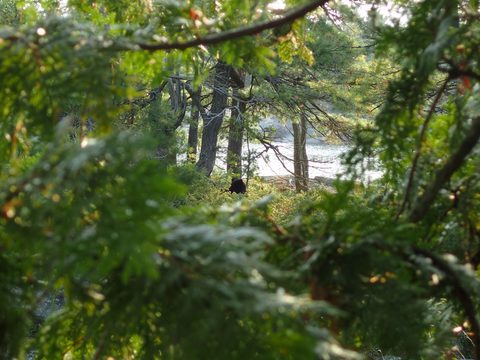 Photo from Kayaking Franklin Island For R&R